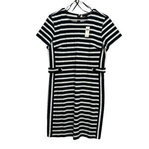 Banana Republic Factory Black and White Striped Sheath Dress